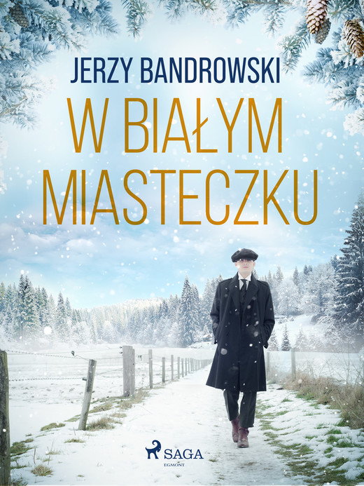 okładka W białym miasteczku ebook | epub, mobi | Jerzy Bandrowski