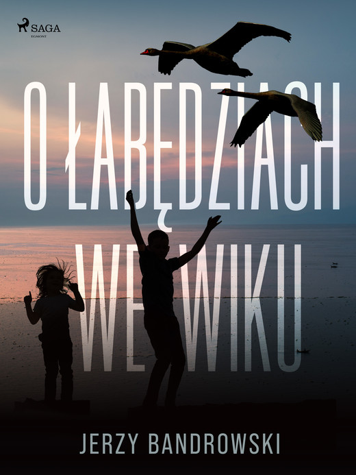 okładka O łabędziach we wiku ebook | epub, mobi | Jerzy Bandrowski