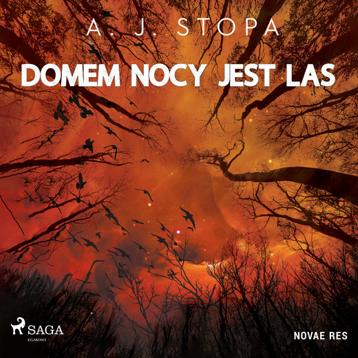 okładka Domem nocy jest las audiobook | MP3 | A.J. STOPA
