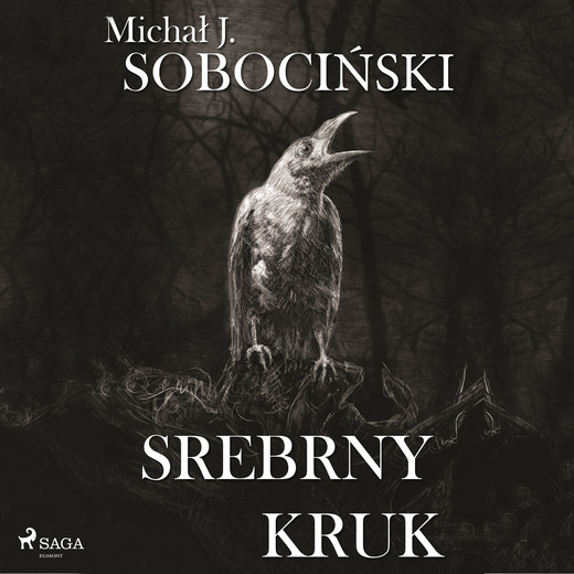okładka Srebrny kruk audiobook | MP3 | Michał J. Sobociński