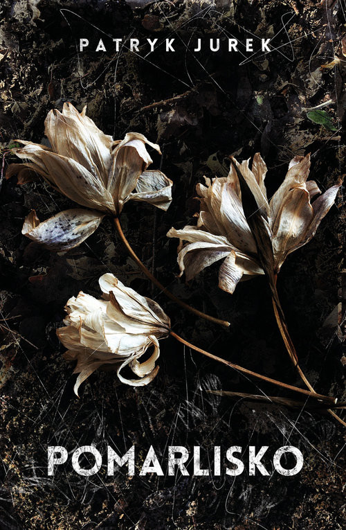 okładka Pomarlisko Wielkie Litery książka
