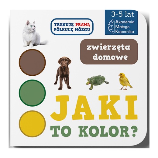 okładka Jaki to kolor? Zwierzeta domowe książka