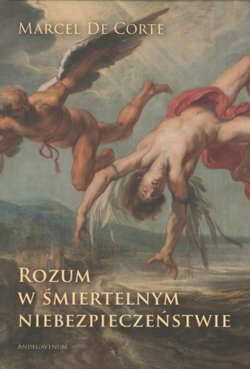 okładka Rozum w śmiertelnym niebezpieczeństwie książka