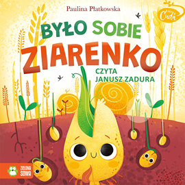 okładka Mikrocuda. Było sobie ziarenko audiobook | MP3 | Paulina Płatkowska