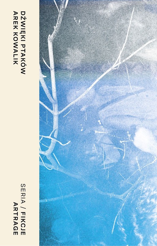 okładka Dźwięki ptaków książka