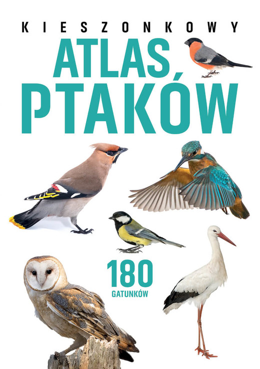 okładka Kieszonkowy atlas ptaków. 180 gatunków książka