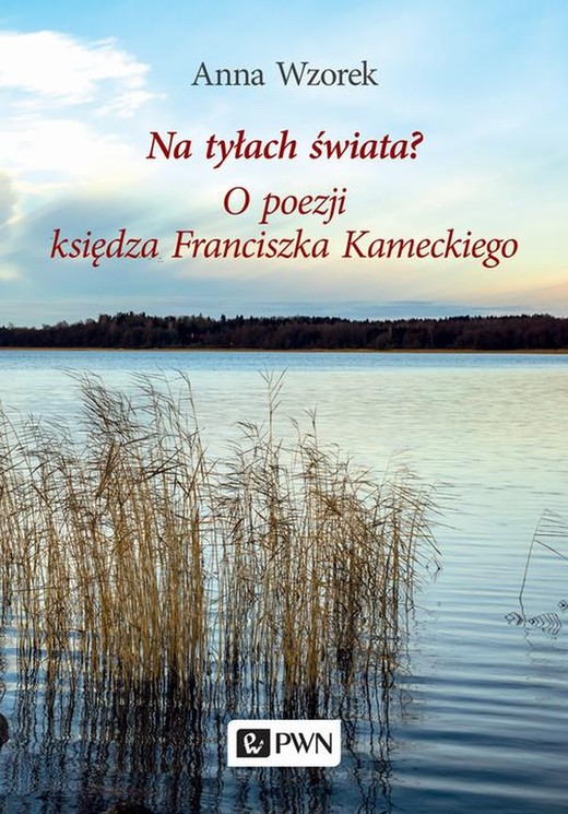 okładka Na tyłach świata? O poezji księdza Franciszka Kameckiego ebook | epub, mobi | Anna Wzorek