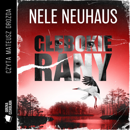 okładka Głębokie rany audiobook | MP3 | Nele Neuhaus