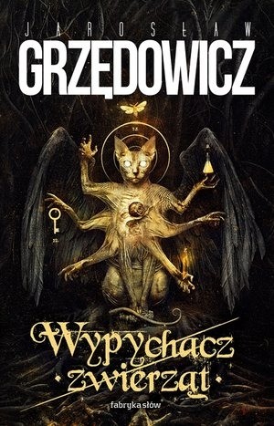 okładka Wypychacz zwierząt książka