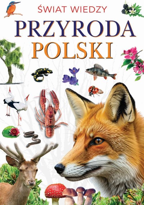 okładka Przyroda polski książka