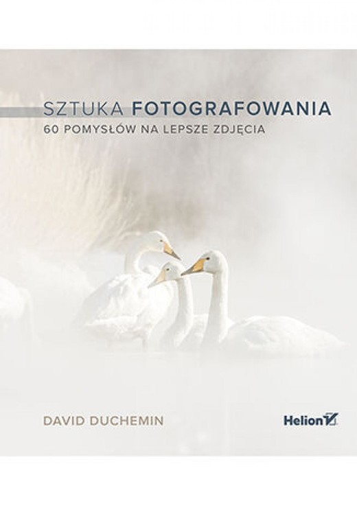 okładka Sztuka fotografowania. 60 pomysłów na lepsze zdjęcia ebook | epub, mobi, pdf | David DuChemin