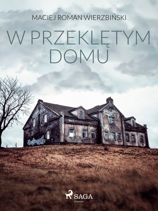 okładka W przeklętym domu ebook | epub, mobi | Maciej Roman Wierzbiński