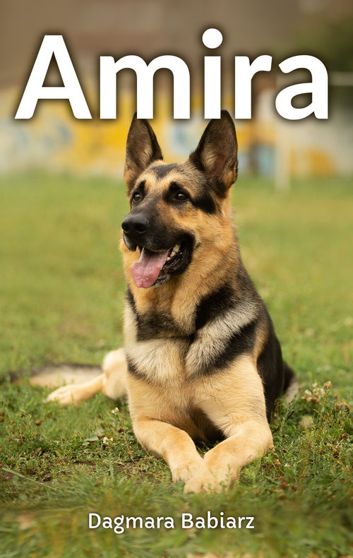 okładka Amira książka | Babiarz Dagmara