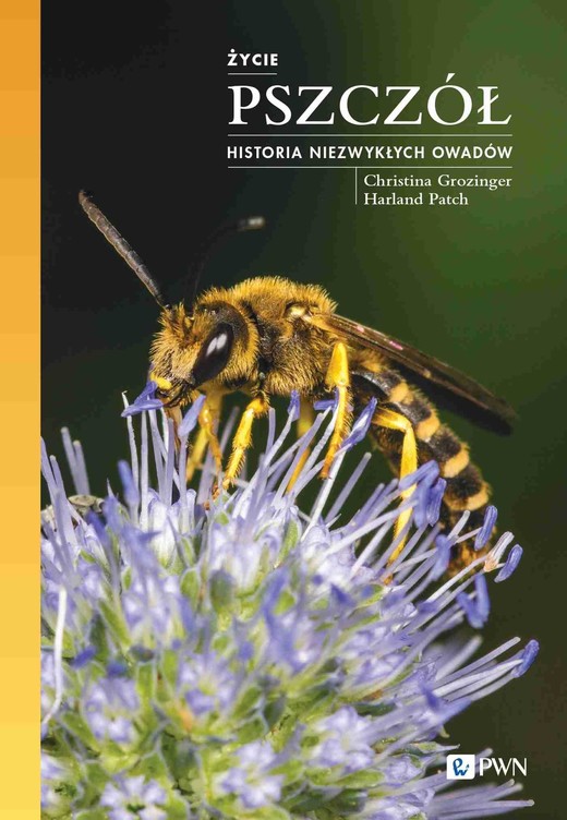 okładka Życie pszczół Historia niezwykłych owadów ebook | epub, mobi | Christina Grozinger, Harland Patch