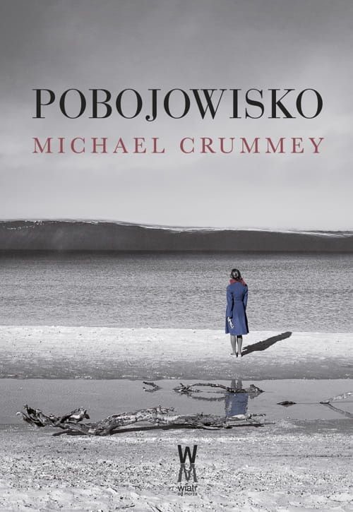 okładka Pobojowisko wyd. 2 książka | Michael Crummey