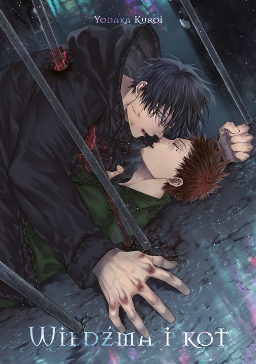 okładka Wiedźma i kot książka