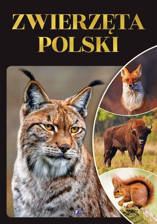 okładka Zwierzęta Polski książka | Opracowanie zbiorowe