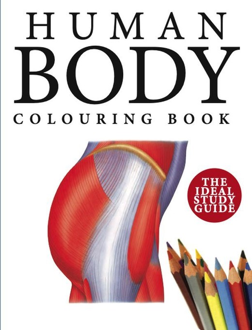 okładka Human Body Colouring Book wer. angielska książka | Peter Abrahams