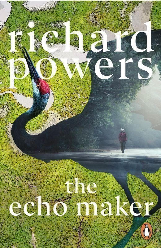 okładka The echo maker wer. angielska książka | Richard Powers