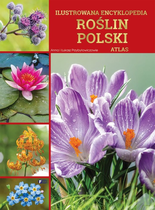 okładka Ilustrowana encyklopedia roślin Polski. Atlas książka