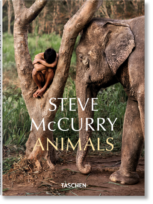 okładka Steve McCurry. Animals książka | Opracowanie zbiorowe
