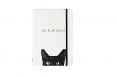 okładka Notatnik mini Ciekawski Kot książka