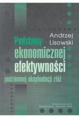 okładka Podstawy ekonomicznej efektywności podziemnej eksp książka | Andrzej Lisowski