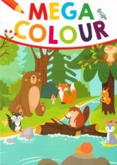 okładka Mega Colour książka | Praca Zbiorowa