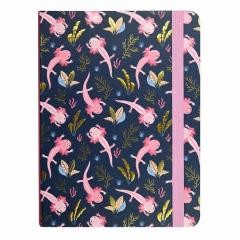 okładka Notatnik midi Aksolotle książka