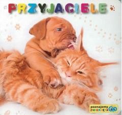 okładka Poznajemy zwierzęta - Przyjaciele książka | Praca Zbiorowa