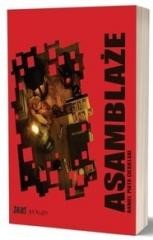 okładka Asamblaże książka | Ciesielski DanielPiotr