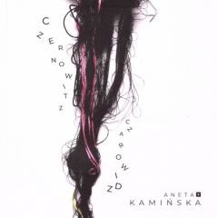 okładka Czerowitz Czarowidz książka | Aneta Kamińska