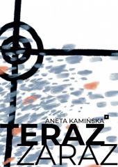 okładka Teraz zaraz książka | Aneta Kamińska