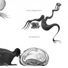 okładka Wyrobiska książka | Gosia Zagajewska