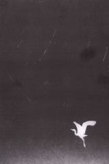 okładka Manowce książka | Tomasz Berrached