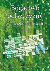 okładka Bogactwo polszczyzny w świetle jej historii T. 6 książka | Wioletta Wilczek, red. JoannaPrzyklenk
