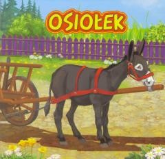 okładka Osiołek JAFI książka | Katarzyna Campbell