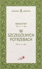 okładka Modlitwy w szczególnych potrzebach książka | Praca Zbiorowa
