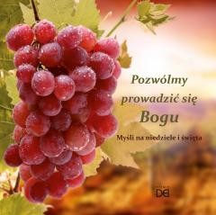 okładka Pozwólmy prowadzić się Bogu książka | Piotr KoźlakCSsR