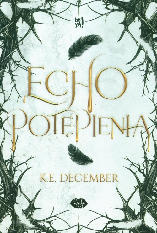 okładka Echo potępienia książka | December