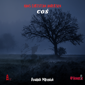 okładka Coś audiobook | MP3 | Hans Christian Andersen