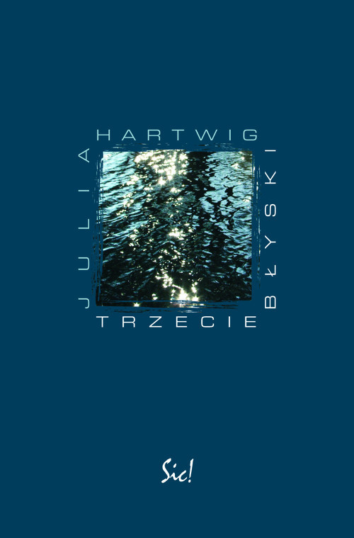 okładka Trzecie błyski książka | Julia Hartwig