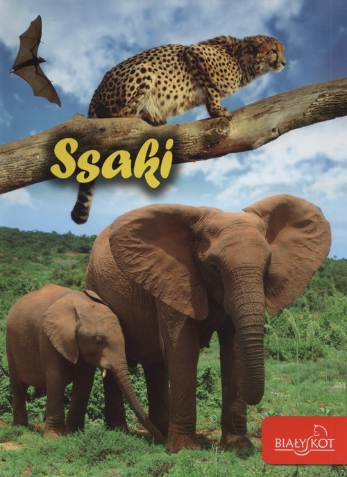 okładka Ssaki książka | Popielarska-Konieczna Marzena