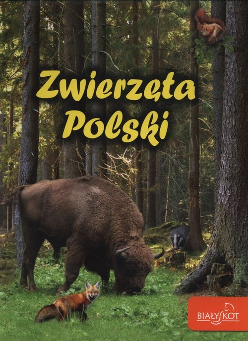 okładka Zwierzęta Polski książka | Elżbieta Zarych