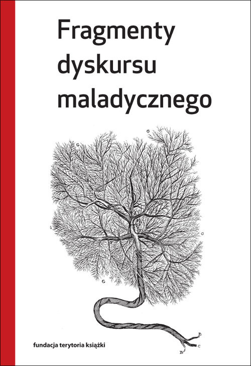 okładka Fragmenty dyskursu maladycznego książka | Opracowanie zbiorowe