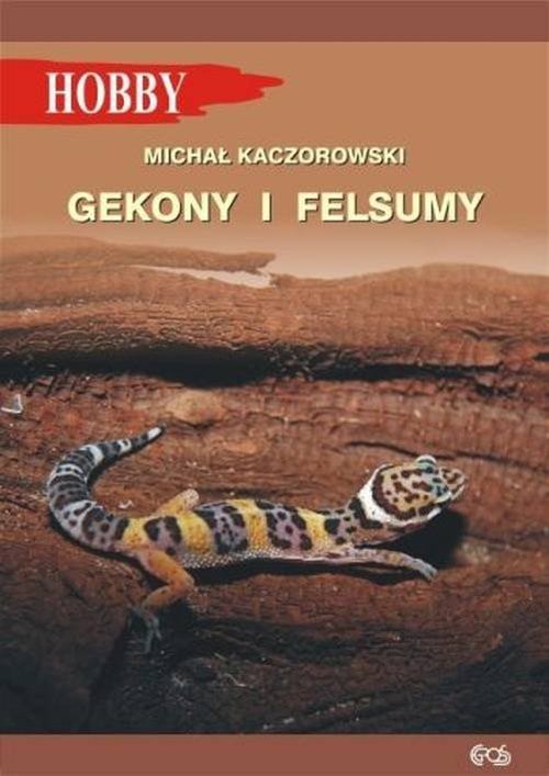 okładka Gekony i felsumy książka | Michał Kaczorowski