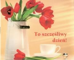 okładka Perełka 134 - To szczęśliwy dzień! książka