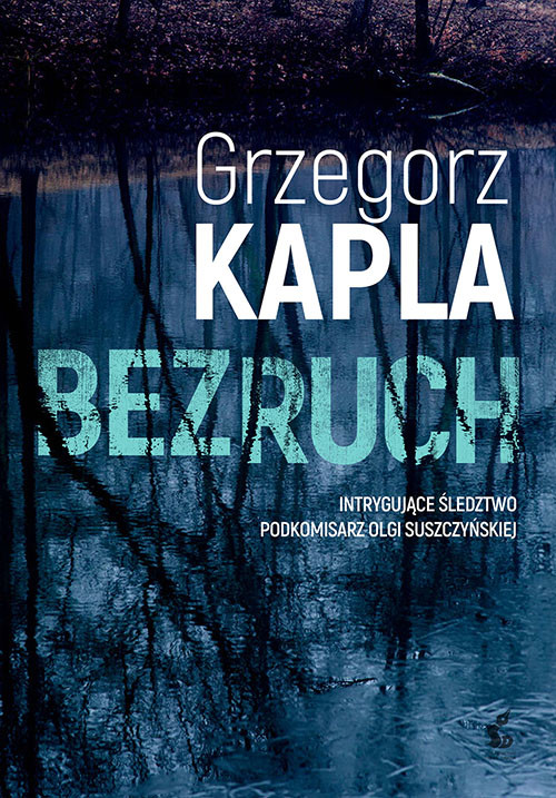 okładka Bezruch książka | Grzegorz Kapla