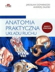 okładka Anatomia praktyczna układu ruchu. Ćwiczenia książka | Domaradzki Jarosław, Andrzej Zaleski