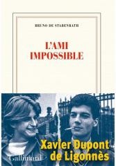 okładka Ami impossible książka | De StabenrathBruno